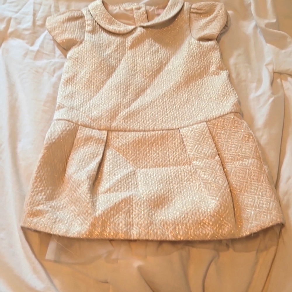 Janie and Jack Holiday Dress ( 2T)